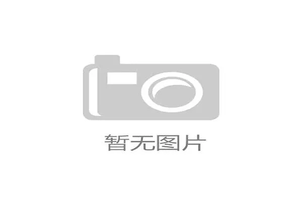 范戴克与鲁本·迪亚斯：体系核心中卫对比分析